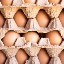 Eggs